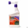 Bonide® Infuse Lawn Quart 32 Oz RTS