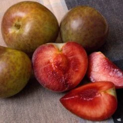 Flavor Supreme Pluot® Interspecific Plum
